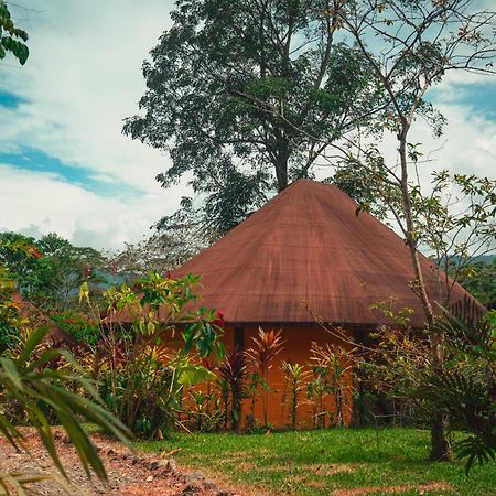 Huasquila Amazon Lodge Cotundo Zewnętrze zdjęcie